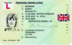 provisional driving licence