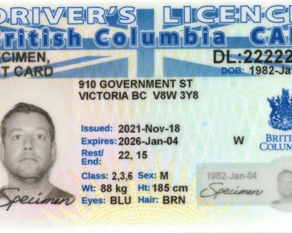 British Columbia-Drivers License