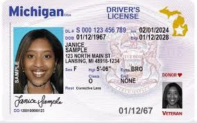 Michigan driving licence