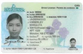 Brunswick driving licence