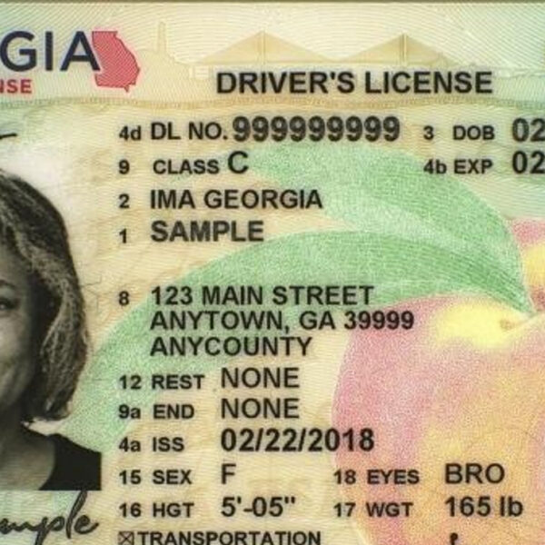 Georgia Driving License