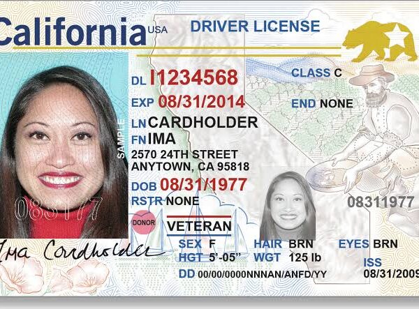 California Driving Licence