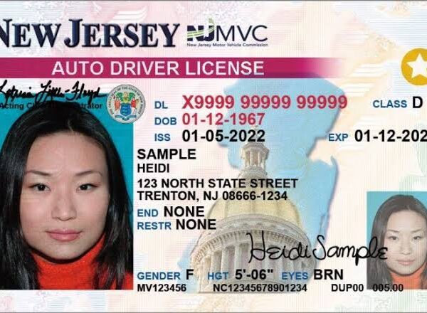 New Jersey driving licence