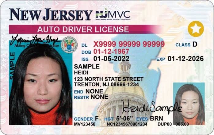 New Jersey driving licence