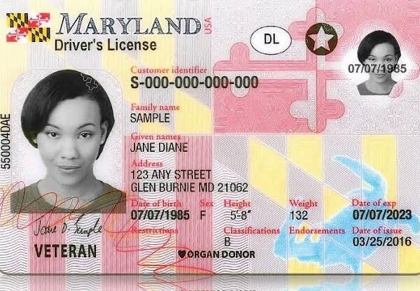 Maryland driving licence