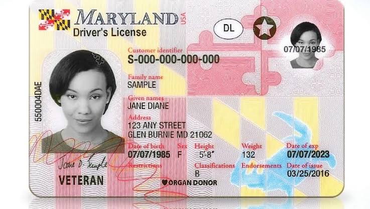 Maryland driving licence