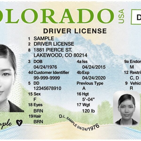 Colorado Driving License
